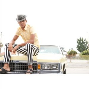 NWT Mr Turk Trina Turk Striped Pants Slim Trousers